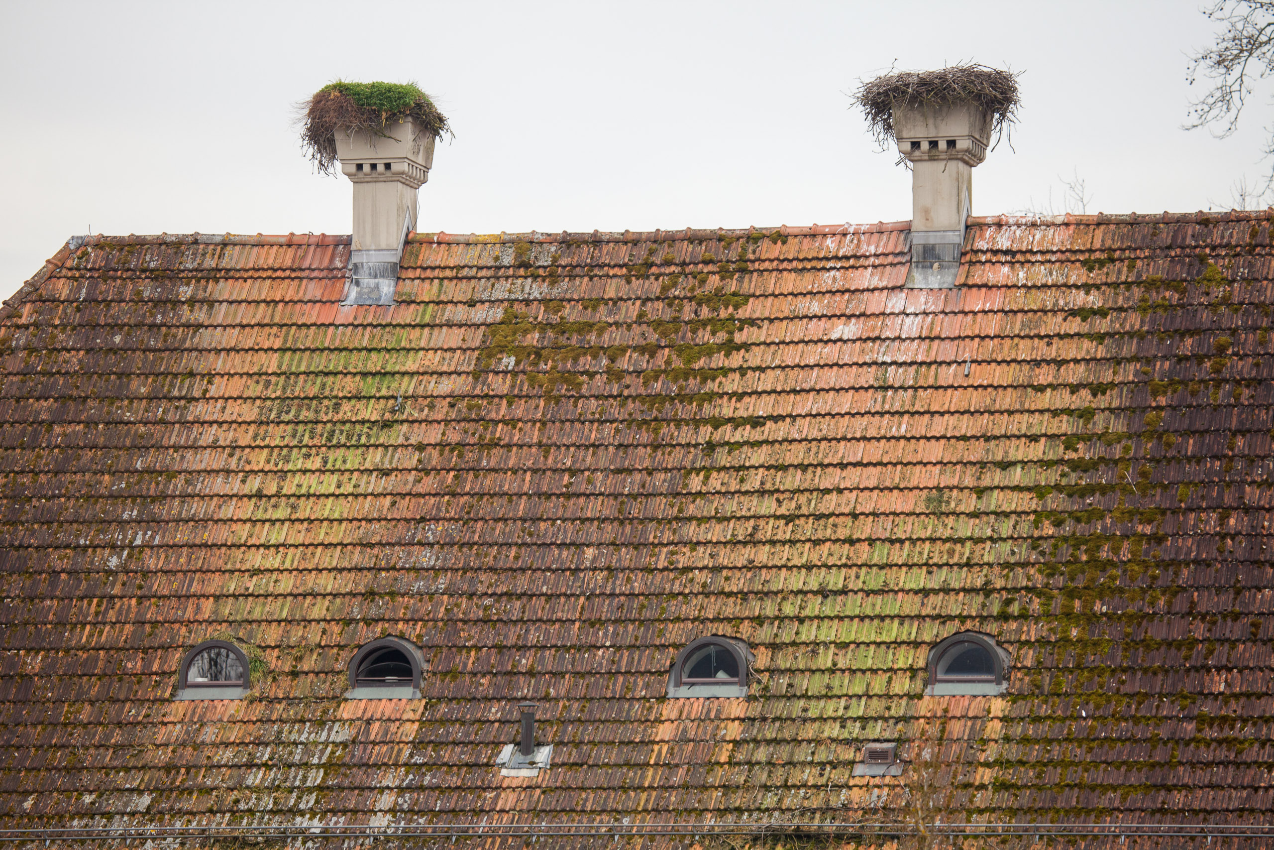 20110313133244 IMG 7244